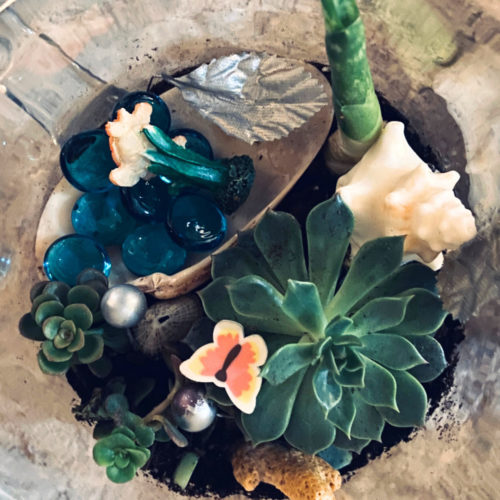 DIY terrarium with succulents